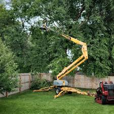 Best Tree and Shrub Care  in Casper, WY