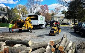 Best Tree Risk Assessment  in Casper, WY