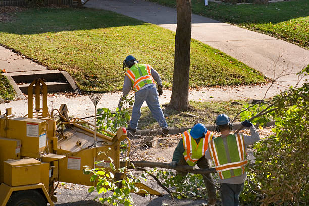 Best Firewood Processing and Delivery  in Casper, WY